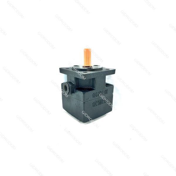 пластинчатый насос YB-D6,3R (БГ12-41)