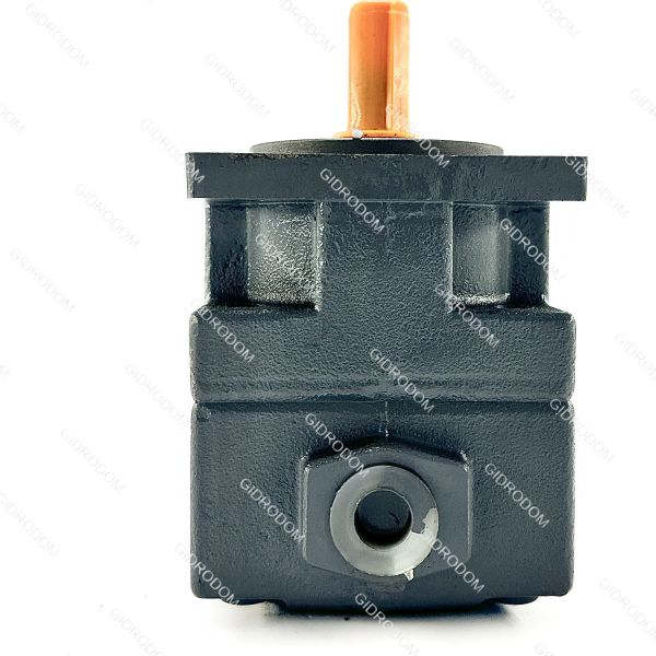 пластинчатый насос YB-D6,3R (БГ12-41)